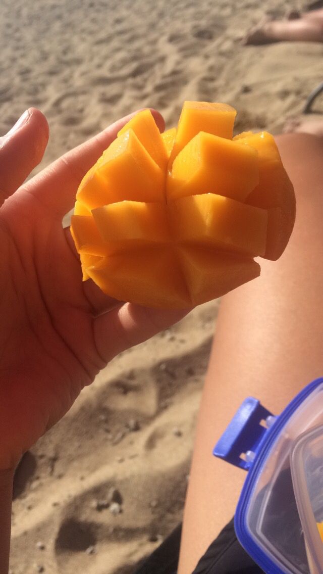 Beef Tallow & Mango | Superior Balm